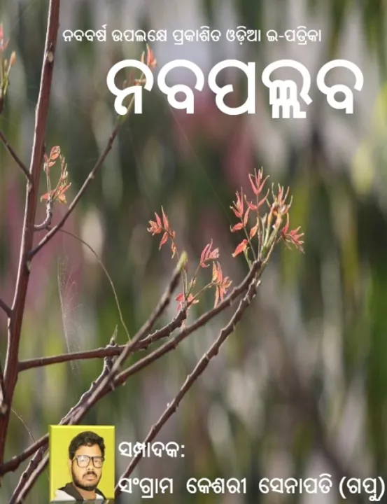  ଓଡ଼ିଆ ଭାଷା ପ୍ରଚାରରେ ସଂଗ୍ରାମଙ୍କ ଇ-ମାଗାଜିନ୍‌ ‘ନବପଲ୍ଲବ’