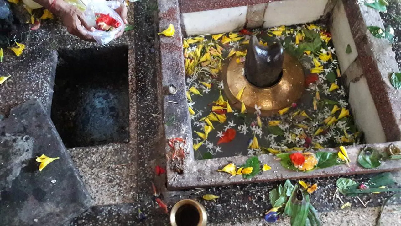  ଶିବରାତ୍ରୀରେ ଶିବଲିଙ୍ଗକୁ ନିଜର ଜିଭ ଦାନ କଲେ ମହିଳା