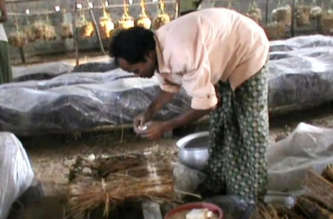  କମ୍‌ ଖର୍ଚ୍ଚରେ କରୁଛନ୍ତି ଅଧିକ ରୋଜଗାର : ଅଳ୍ପ ଜାଗାରେ ଛତୁ ଚାଷ କରି ମାସକୁ ପ୍ରାୟ ୨୦ ହଜାର ଟଙ୍କା ରୋଜଗାର କରି ଚାଷୀଙ୍କ ପାଇଁ ପ୍ରେରଣା ପାଲଟିଲେ ରବିନାରାୟଣ