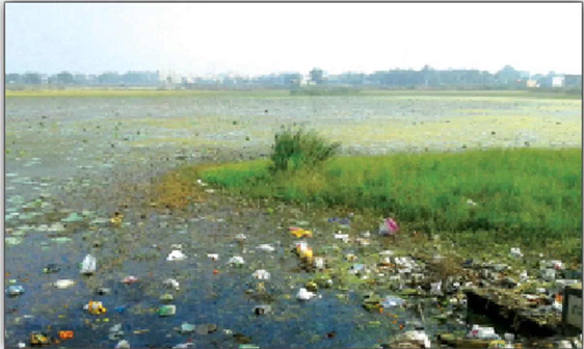  ପୁନରୁଦ୍ଧାର ପାଇଁ ଅର୍ଥ ନାହିଁ: ମାଟିରେ ମିଶିବ ଜଳାଶୟ