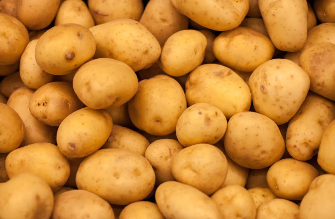  Potatoes 