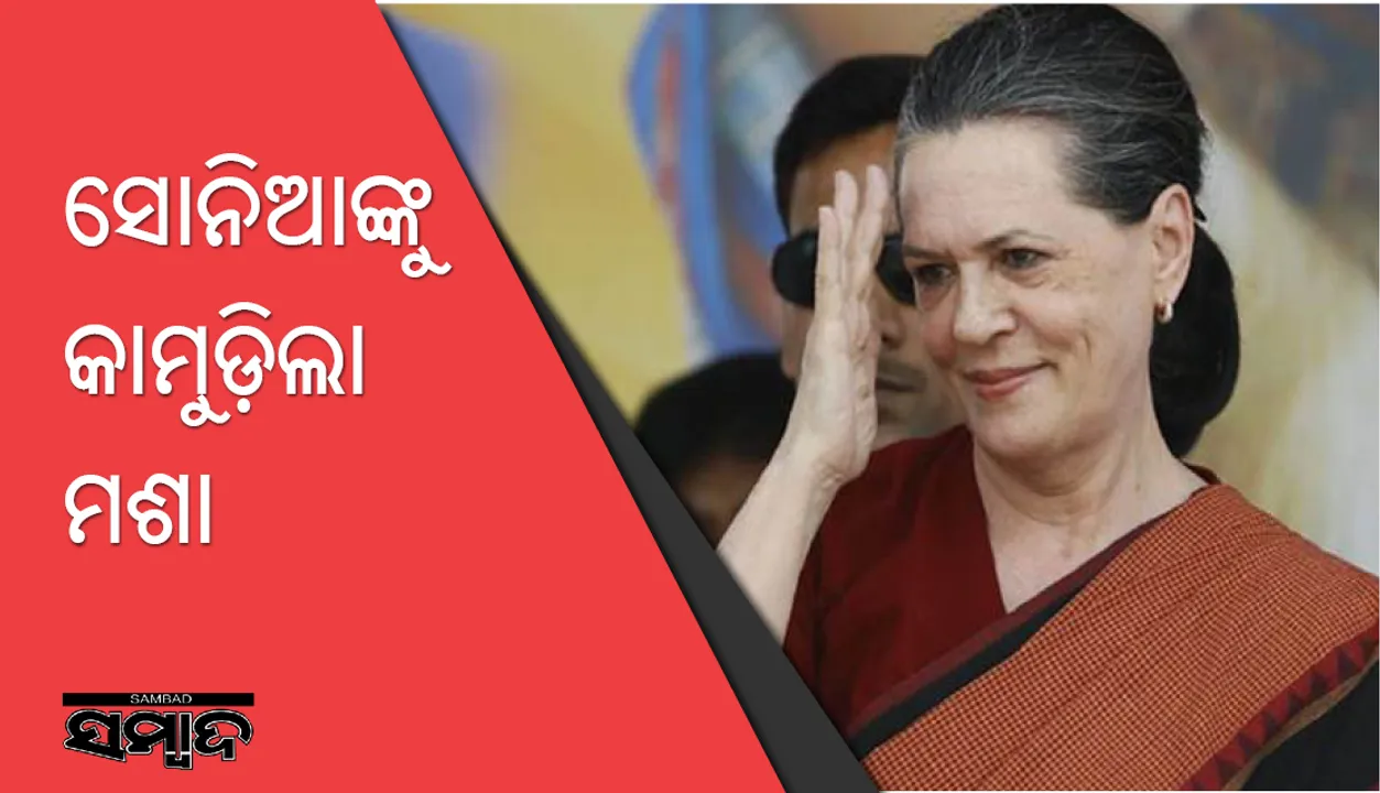  ମଶାଙ୍କ ପାଇଁ ମହାଅଧିବେଶନ ଅଧାରୁ ଛାଡ଼ିଥିଲେ ସୋନିଆ