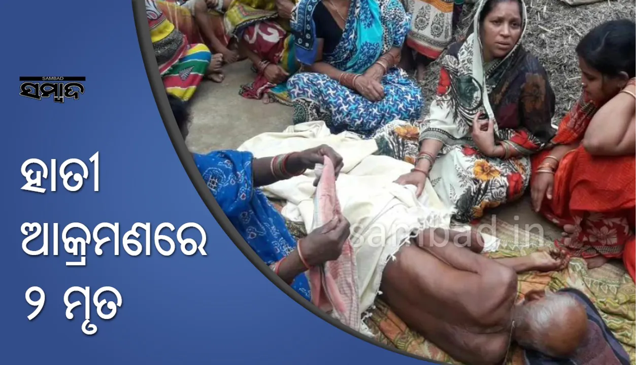  ଢେଙ୍କାନାଳ:  ଦୁଇ ଜଣଙ୍କୁ ହାତୀ ଦଳିଦେଲା