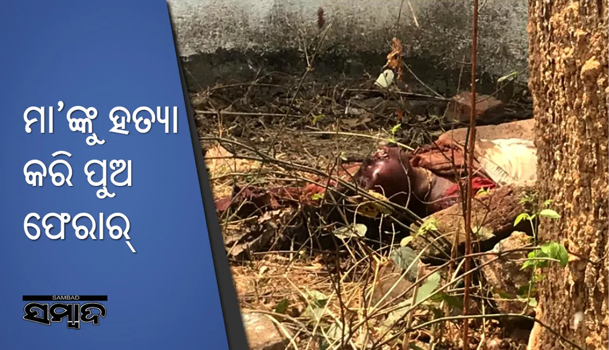  ଝାରସୁଗୁଡ଼ା: ମାଆଙ୍କୁ ହତ୍ୟା କରି ପୁଅ ଫେରାର, ମହିଳାଙ୍କୁ ଅଟକ ରଖି ପଚରାଉଚରା କରୁଛି ପୁଲିସ