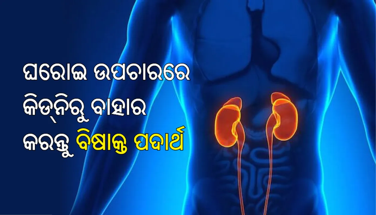  ଡାକ୍ତରଖାନା ଯିବା ଦରକାର ନାହିଁ; ଘରୋଇ ଉପଚାରରେ କିଡ୍‌ନିରୁ ବାହାର କରି ପାରିବେ ବିଷାକ୍ତ ପଦାର୍ଥ