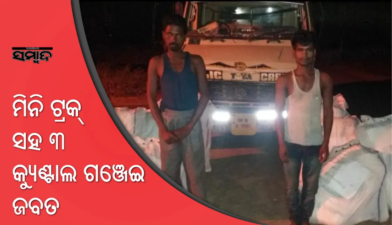  ମାଲକାନଗିରି: ମିନିଟ୍ରକ୍‌ରୁ ୩ କ୍ୟୁଣ୍ଟାଲ ଗଞ୍ଜେଇ ଜବତ