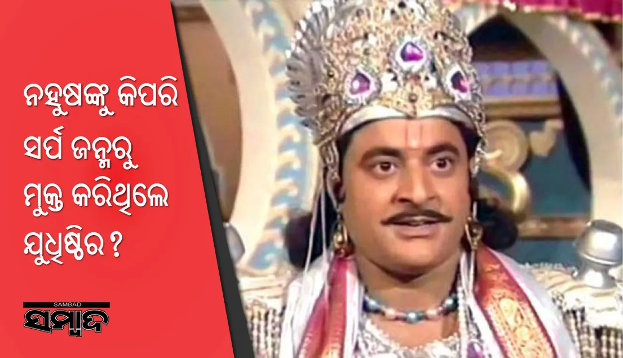  ରାଜା ନହୁଷ କିପରି ସର୍ପ ଜନ୍ମରୁ ମୁକ୍ତ ହୋଇଥିଲେ ?