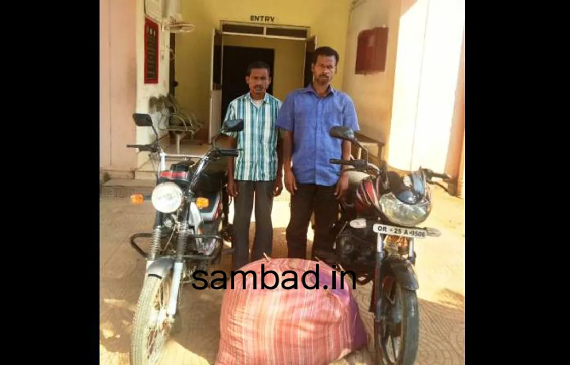  ଫୁଲବାଣୀ: ଗଞ୍ଜେଇ ସହିତ ୨ ବାଇକ ଜବତ, ୨ ଗିରଫ