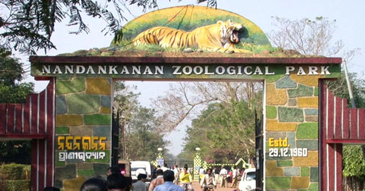  ଧରା ଦେଉନି ଫେରାର୍‌ ତାମାରିନ୍‌ ମାଙ୍କଡ଼