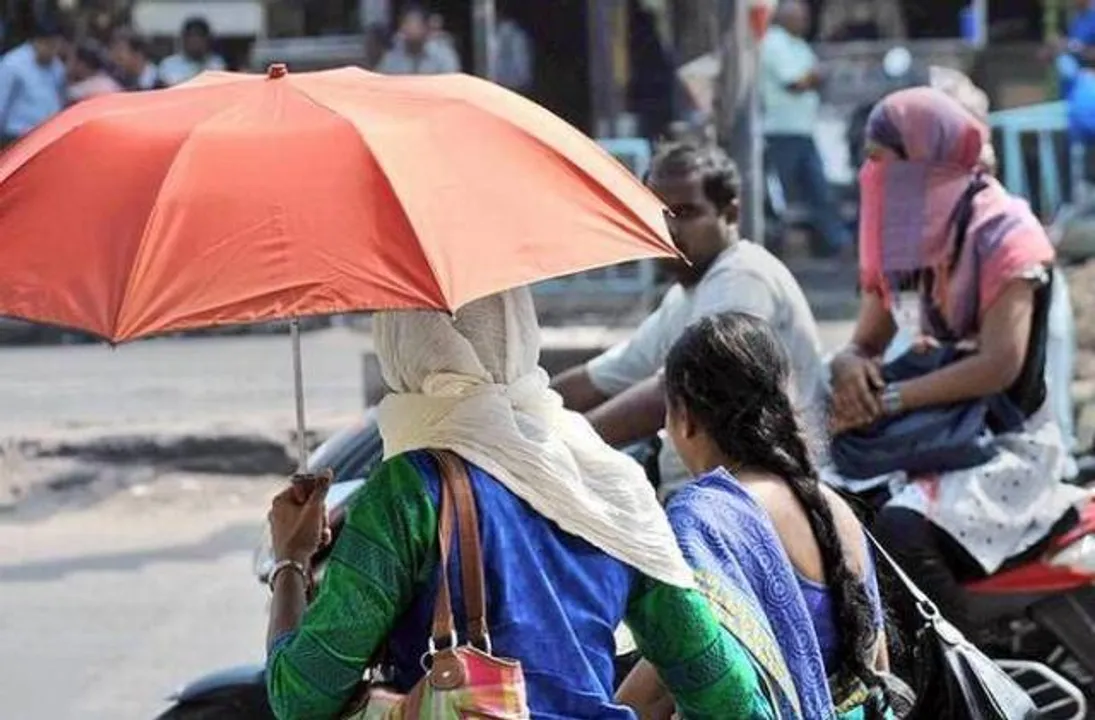  photo by : thehindu.com 