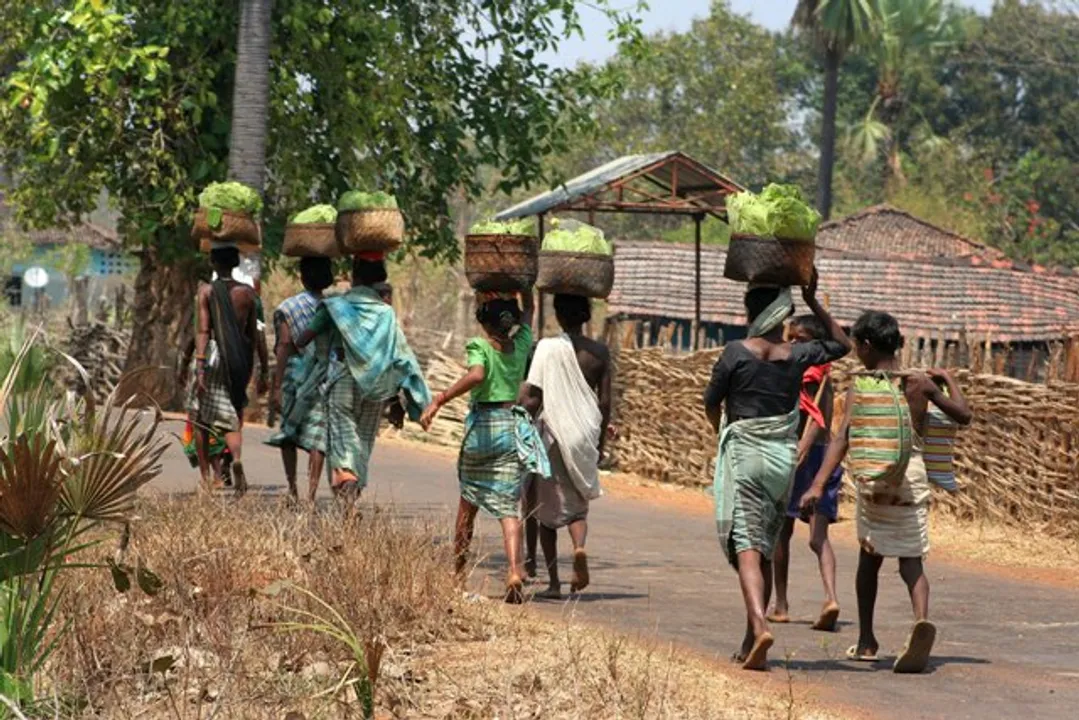  photo by : tehelka.com 