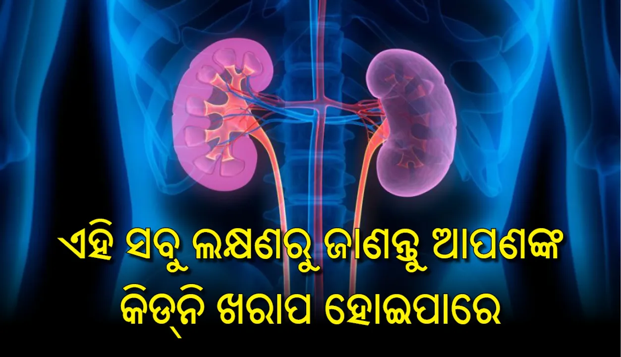  ଏହି ସବୁ ଲକ୍ଷଣରୁ ଜାଣନ୍ତୁ ଆପଣଙ୍କ କିଡ୍‌ନି ଖରାପ ହୋଇପାରେ