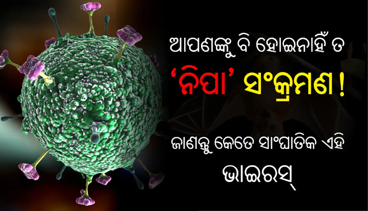  ଆପଣଙ୍କୁ ବି ହୋଇନାହିଁ ତ ‘ନିପା’ ସଂକ୍ରମଣ! ଜାଣନ୍ତୁ କେତେ ସାଂଘାତିକ ଏହି ଭାଇରସ୍‌