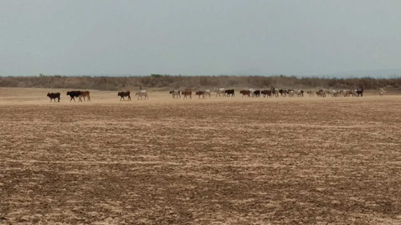  ମହାନଦୀ ଉପରମୁଣ୍ଡରେ ବ୍ୟାରେଜ୍‌ ନିର୍ମାଣ ଘଟଣା : ନିଜ ମାଟିରେ ଛତିଶଗଡ଼ ସରକାର ‘ଗୃହଶତ୍ରୁ’, ଜୀବିକା ହରାଇଛନ୍ତି ହଜାର ହଜାର ମତ୍ସ୍ୟଜୀବୀ