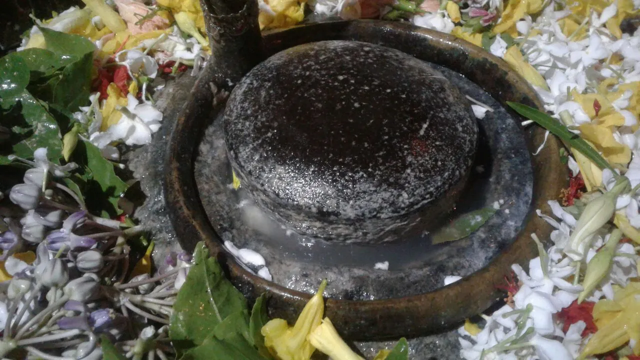  ଢାୱା ସୋମନାଥଙ୍କ ଲିଙ୍ଗ ବଢୁଛି!