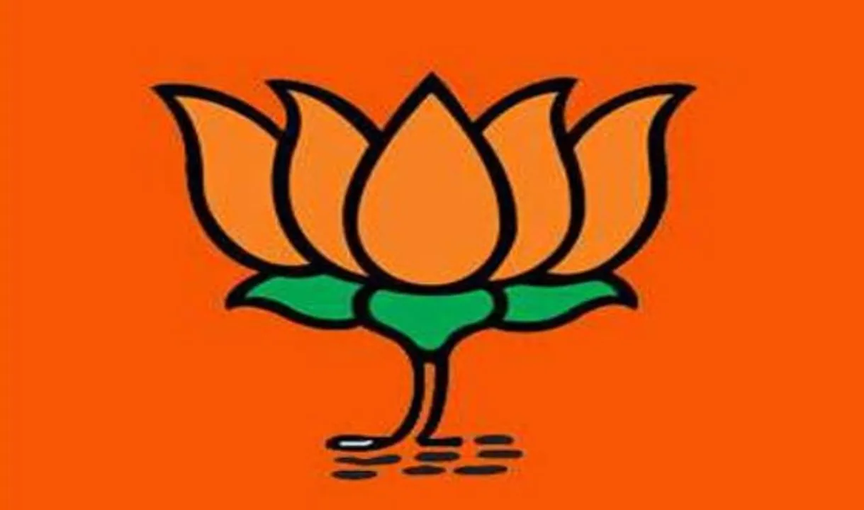  ୨୦୧୯ ପାଇଁ ରଣନୀତି: ନେତାଙ୍କ ରିପୋର୍ଟ କାର୍ଡ ପ୍ରସ୍ତୁତ କରିବ ବିଜେପି