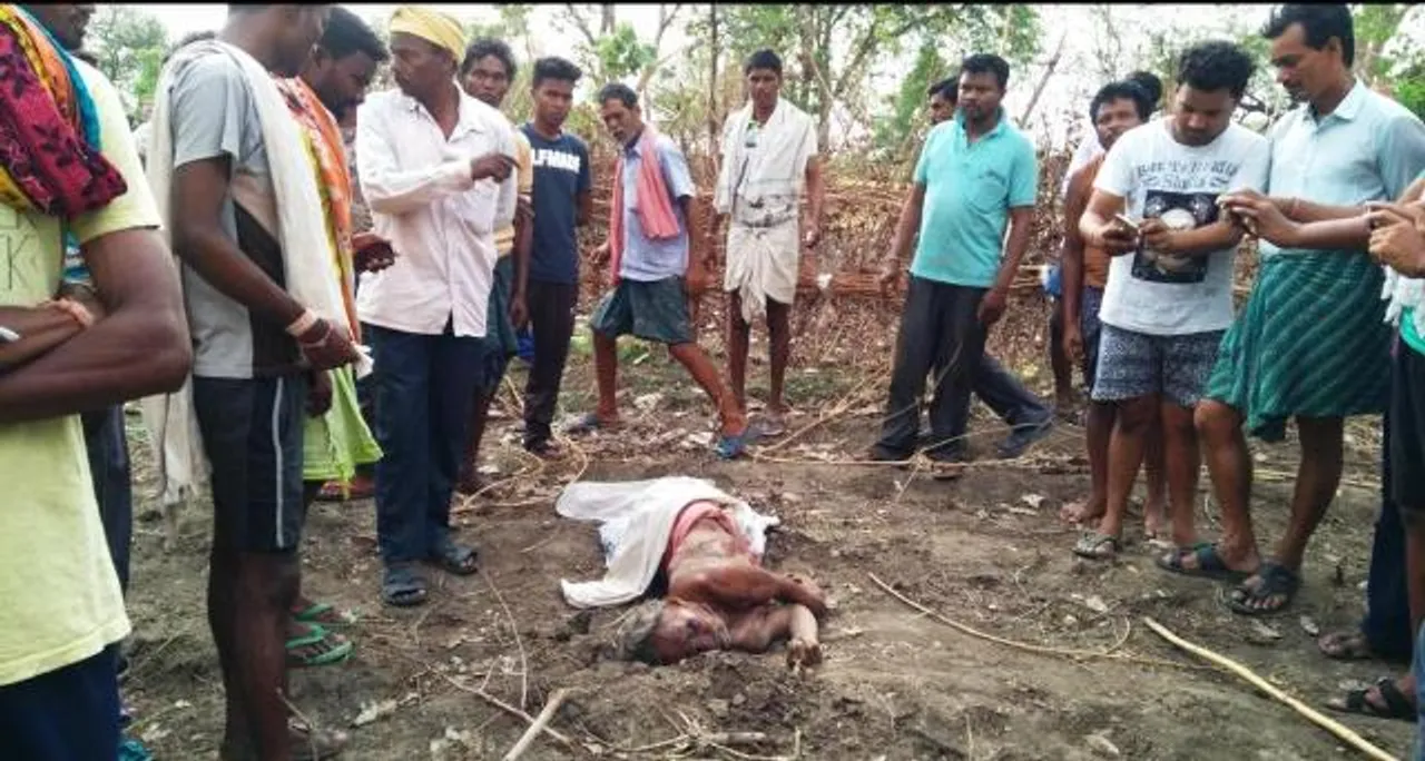   ନୂଆପଡ଼ା: ଚାଷୀଙ୍କୁ ପାଦରେ ଦଳି ମାରିଦେଲା ହାତୀ