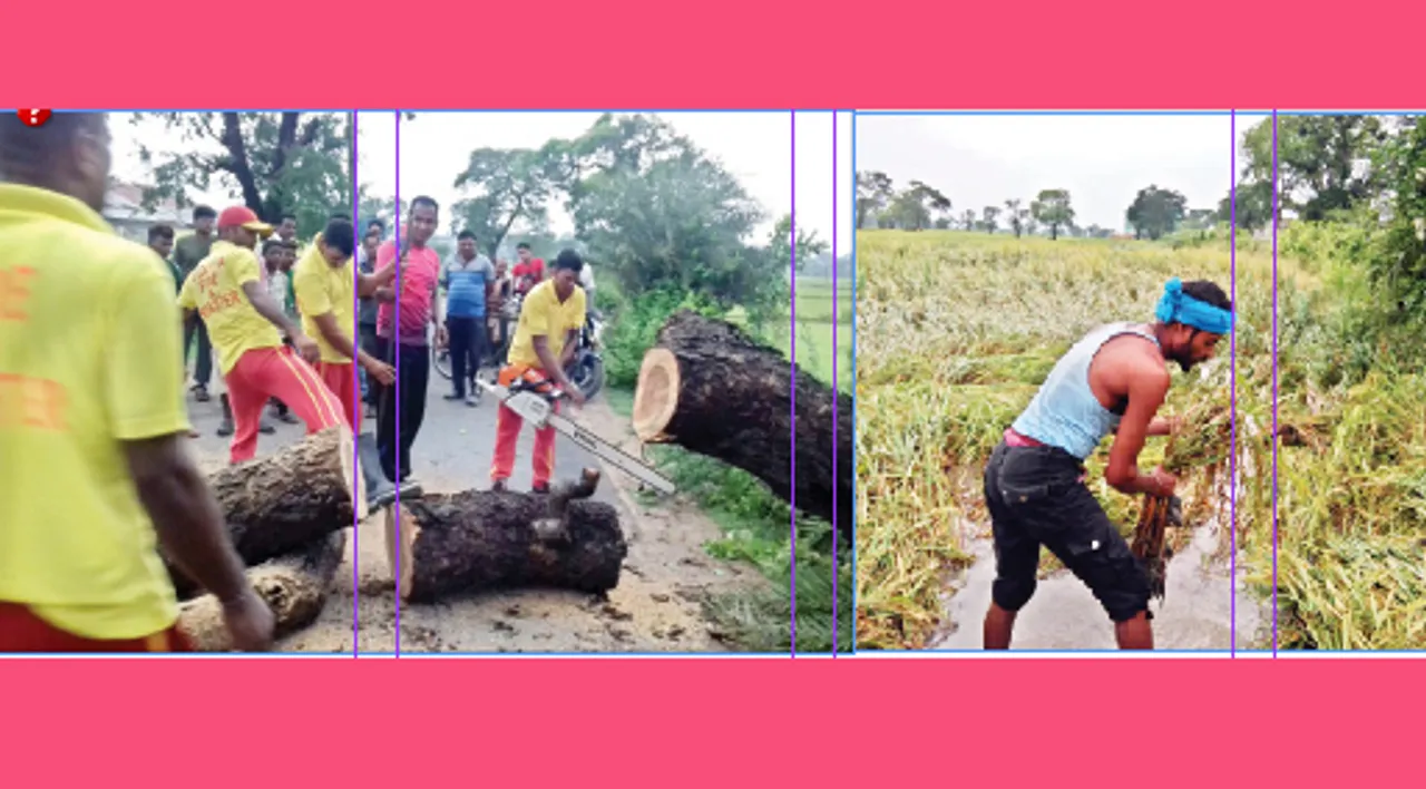  କାଳବୈଶାଖୀରେ ବ୍ୟାପକ ଧାନ ଫସଲ ନଷ୍ଟ