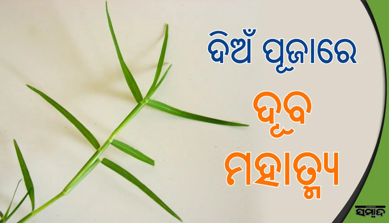  ପୂଜାର୍ଚ୍ଚନା ବେଳେ ଦିଅଁଙ୍କୁ ଦୂବ ଲାଗି କରାଯାଏ କାହିଁକି?