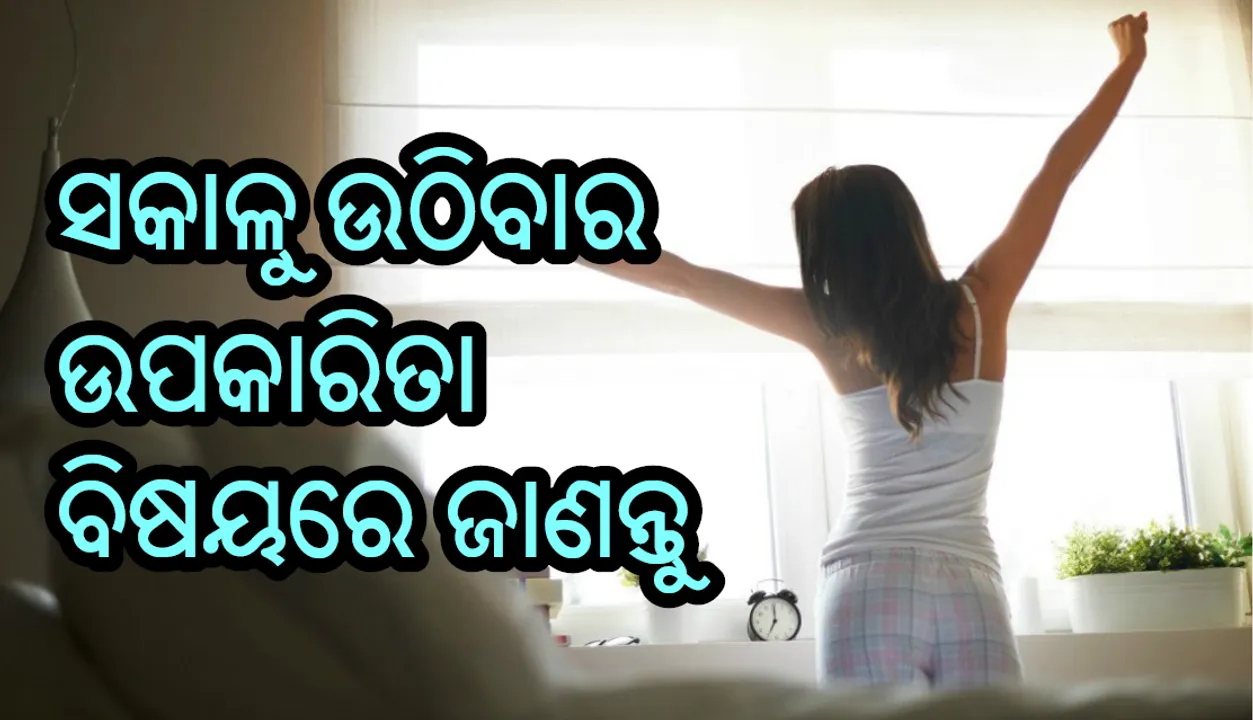  ସକାଳୁ ଉଠିବାର ଏହି ଫାଇଦା ସମ୍ପର୍କରେ ଜାଣିଲେ , ଆପଣ ବି ଭୋରରୁ ଉଠିବେ