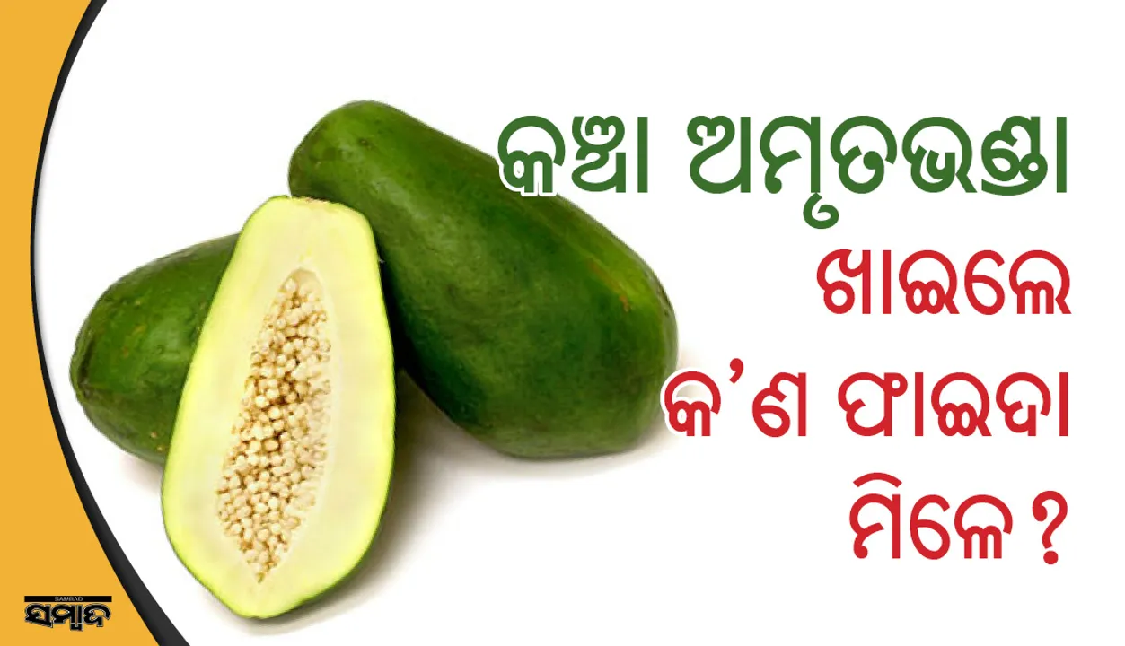  ପାଚିଲା ଅମୃତଭଣ୍ଡାଠାରୁ କଞ୍ଚା ଅମୃତଭଣ୍ଡା ଖାଇଲେ ବେଶୀ ଭଲ ,ଜାଣନ୍ତୁ କିପରି
