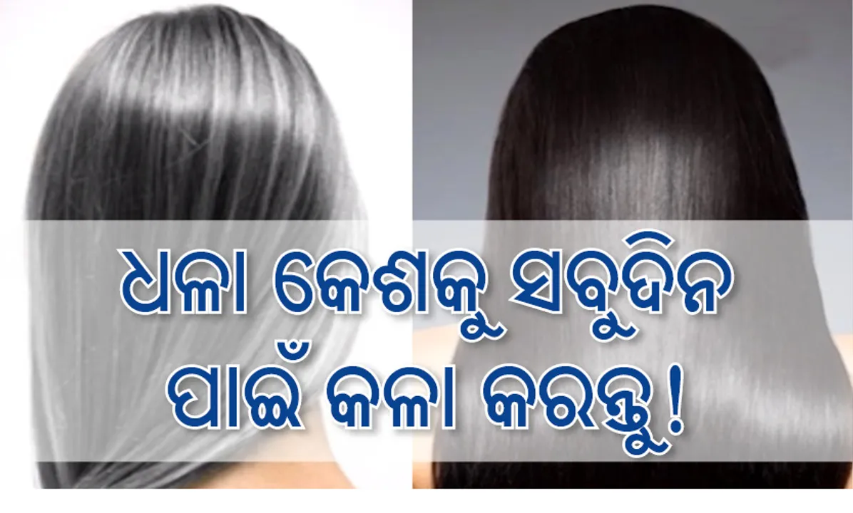  ମେହେନ୍ଦି ସହ ନୀଳ ପତ୍ରର ପାଉଡର୍‌ ମିଶାଇ କେଶରେ ଲଗାନ୍ତୁ ଓ ଧଳା କେଶକୁ ସବୁଦିନ ପାଇଁ କଳା କରନ୍ତୁ!
