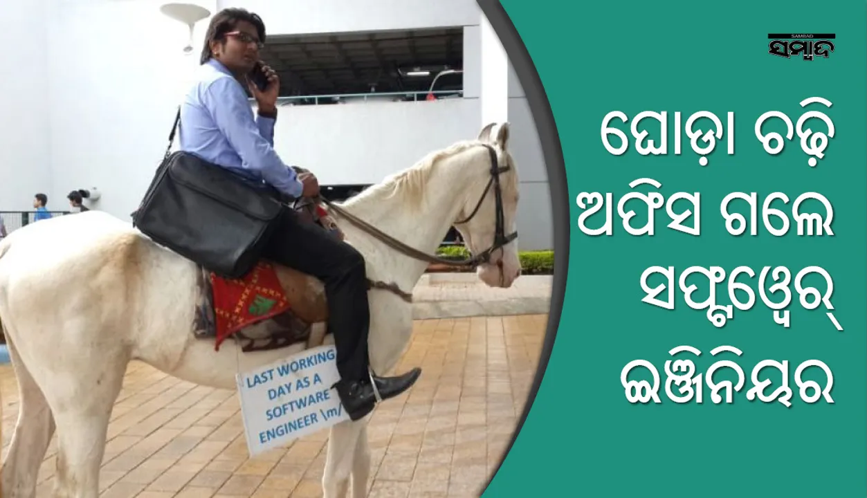  ଘୋଡ଼ା ଚଢ଼ି ଅଫିସ ଗଲେ ସଫ୍ଟଓୟାର ଇଞ୍ଜିନିୟର, କାରଣ ଜାଣିଲେ ଅାଶ୍ଚର୍ଯ୍ୟ ହେବେ