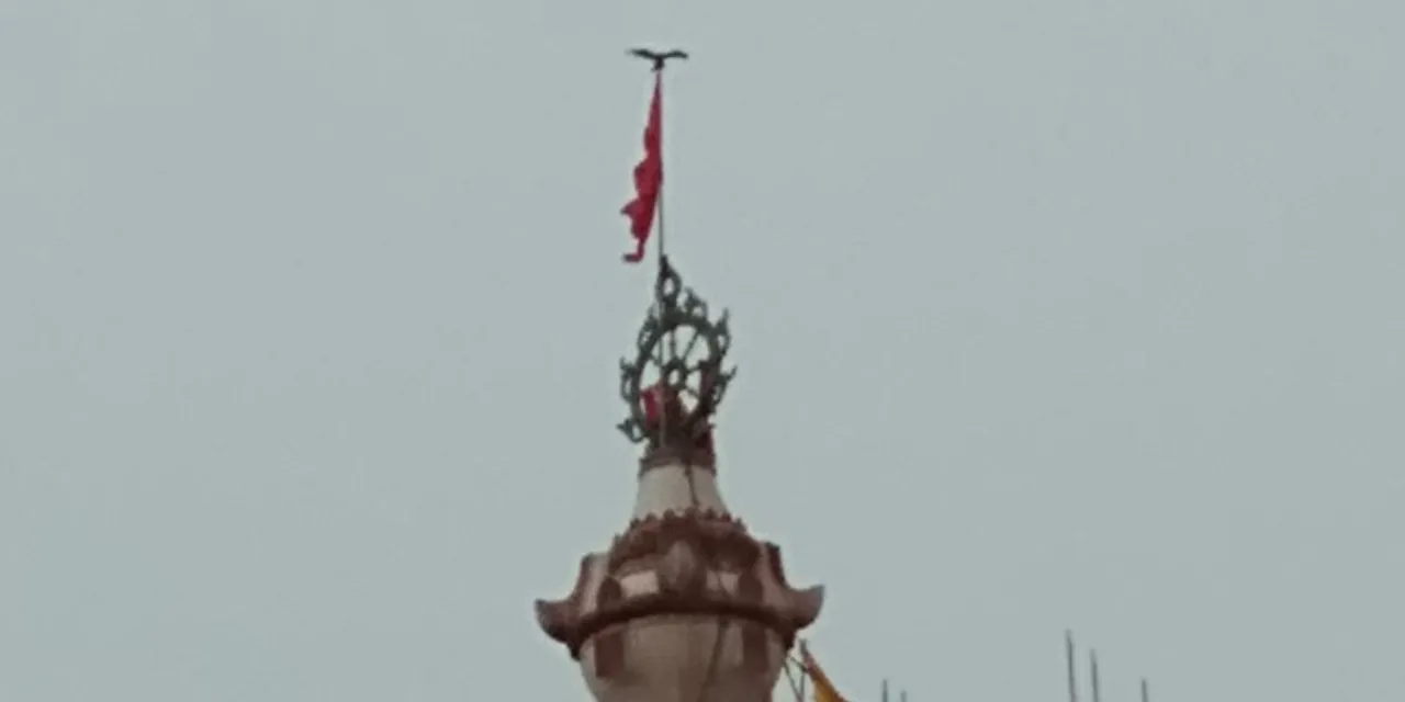  ଶ୍ରୀମନ୍ଦିର ନୀଳଚକ୍ରରେ ବସିଲା ଚିଲ