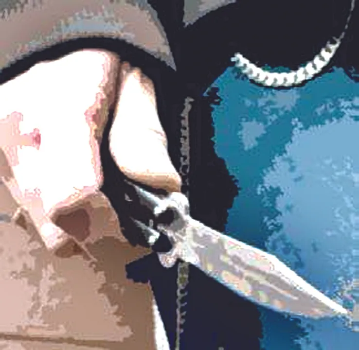  ଖଣ୍ଡାରେ ଆକ୍ରମଣ କରି ଛଡ଼ାଇ ନେଲେ ଆକ୍ଟିଭା