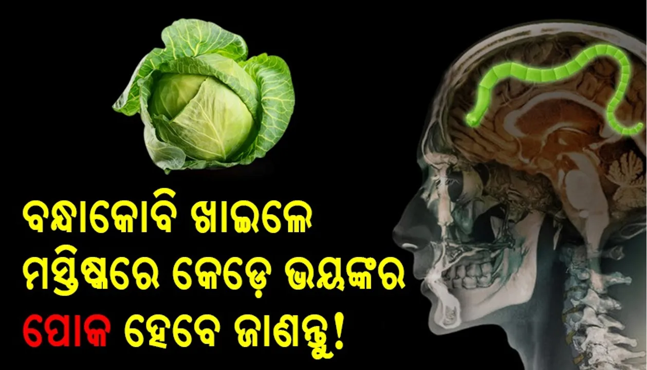  ବନ୍ଧାକୋବି ଖାଇଲେ ମସ୍ତିଷ୍କରେ କେଡ଼େ ଭୟଙ୍କର ପୋକ ହୋଇଯିବେ ଜାଣନ୍ତୁ!