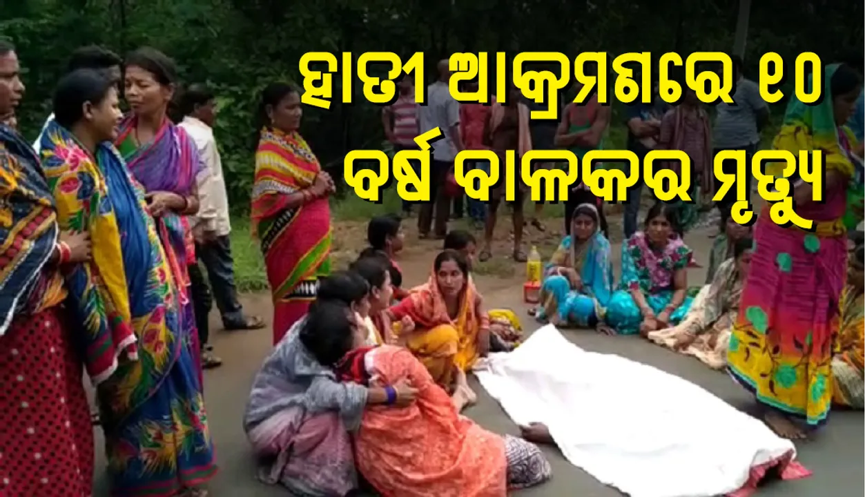  କେନ୍ଦୁଝର: ହାତୀ ଆକ୍ରମଣରେ ୧୦ ବର୍ଷ ବାଳକର ମୃତ୍ୟୁ