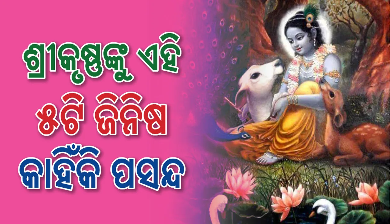  ଏହି ପାଞ୍ଚଟି ଜିନିଷ ଶ୍ରୀକୃଷ୍ଣଙ୍କର ଅତି ପ୍ରିୟ, ଜାଣନ୍ତୁ ଏହା ପଛର ତାତ୍ପର୍ଯ୍ୟ