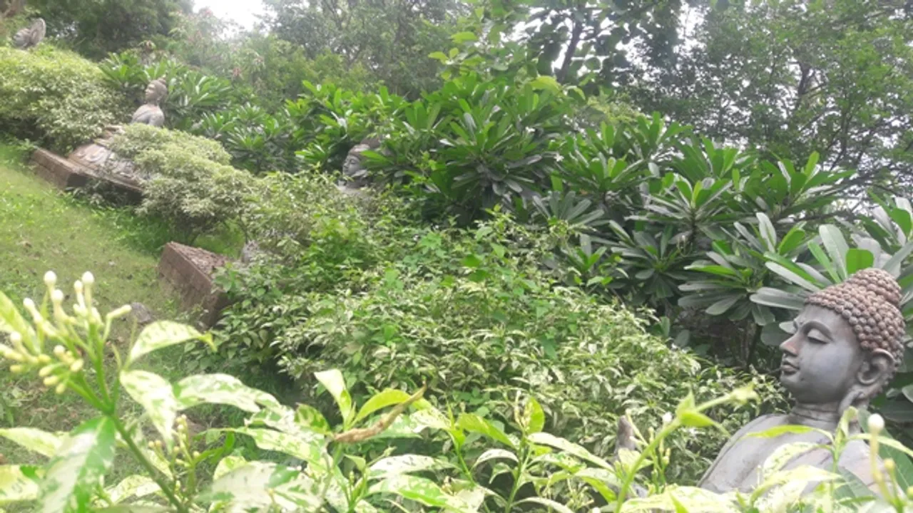  ଶାନ୍ତିପାର୍କରେ ଲୁଚିଗଲେଣି ଭଗବାନ ବୁଦ୍ଧ