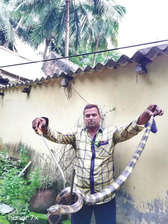  ୫ ଫୁଟିଆ ରଣା ଉଦ୍ଧାର