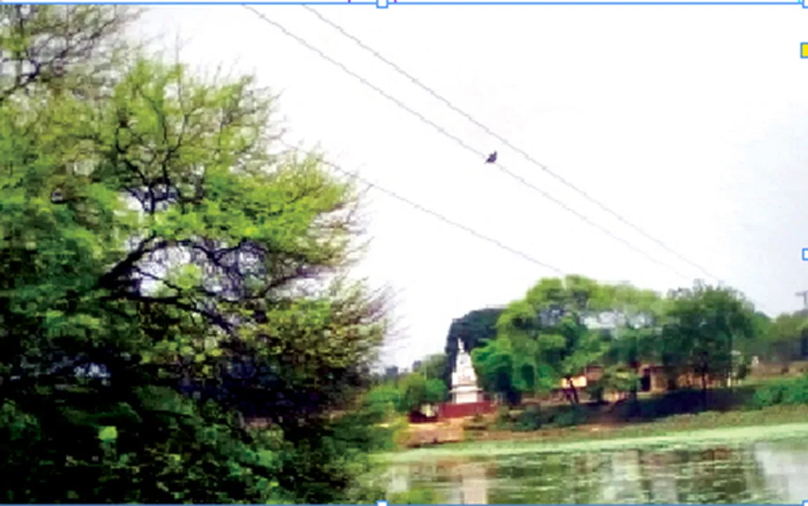  ବିପଜ୍ଜନକ ଅବସ୍ଥାରେ ବିଦ୍ୟୁତ୍‌ ତାର