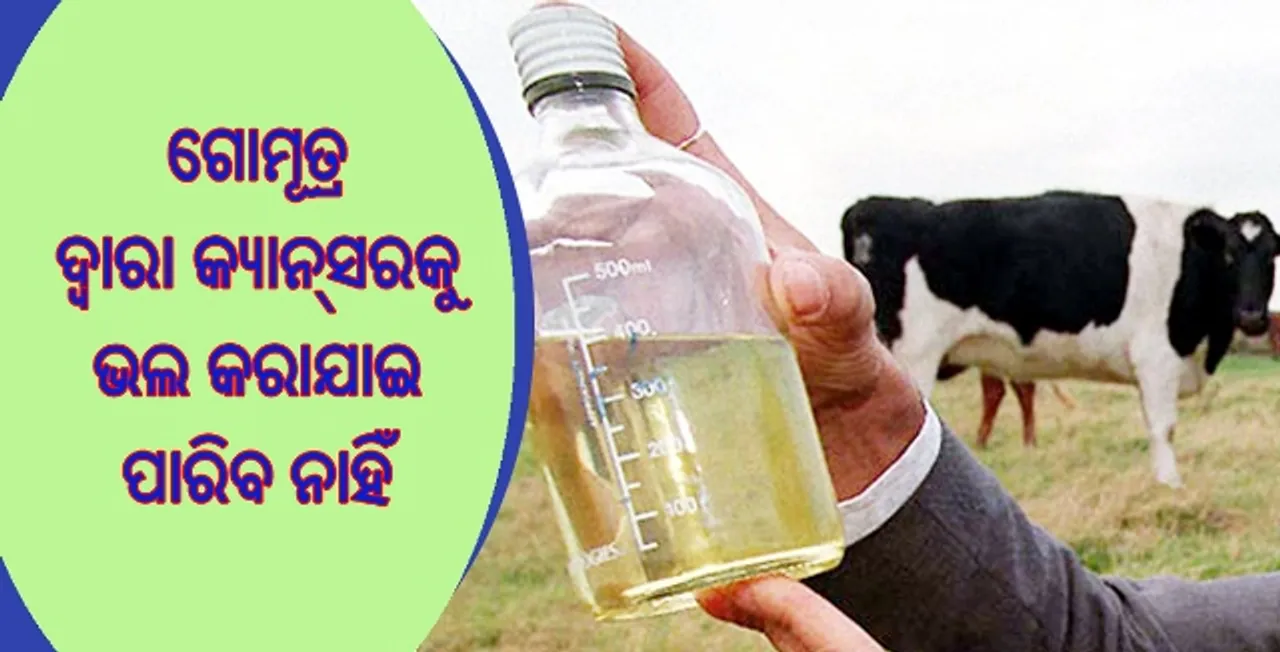  ‘ଗୋମୂତ୍ର ଦ୍ୱାରା କ୍ୟାନସର୍‌କୁ ଭଲ କରିବା ସମ୍ଭବପର ନୁହେଁ’