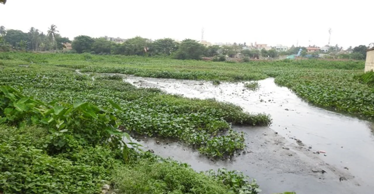  ସଙ୍କଟରେ ବାଲୁଙ୍କେଶ୍ୱର ପୁଷ୍କରିଣୀ