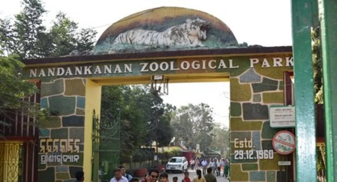  ନନ୍ଦନକାନନରେ ଜଳହସ୍ତୀର ମୃତ୍ୟୁ