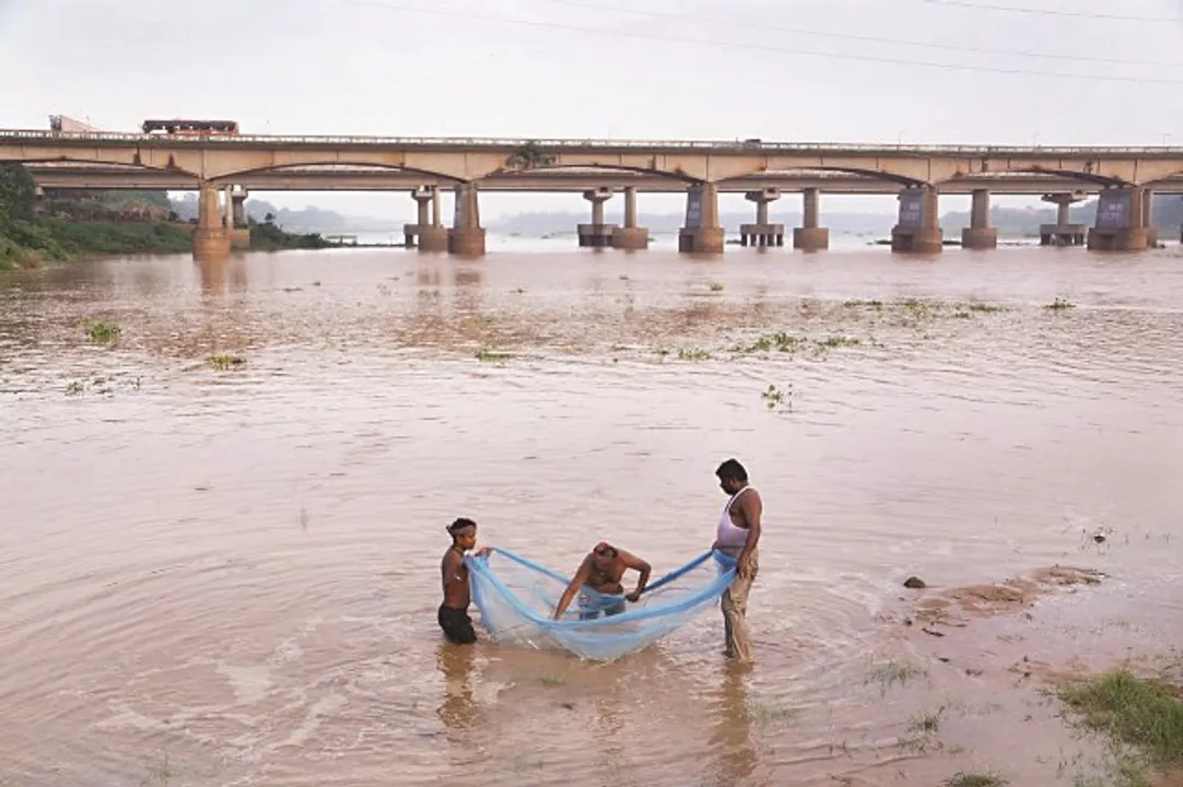  ବର୍ଷା ପାଣିରେ ଭରପୁର କୁଆଖାଇ ନଦୀରୁ ମାଛ ଧରା