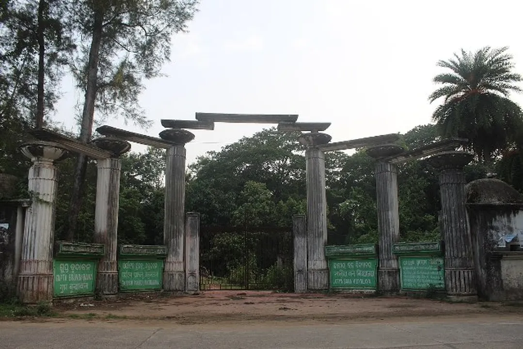  ବନ ବିଦ୍ୟାଳୟରୁ ବିଶ୍ୱବିଦ୍ୟାଳୟ