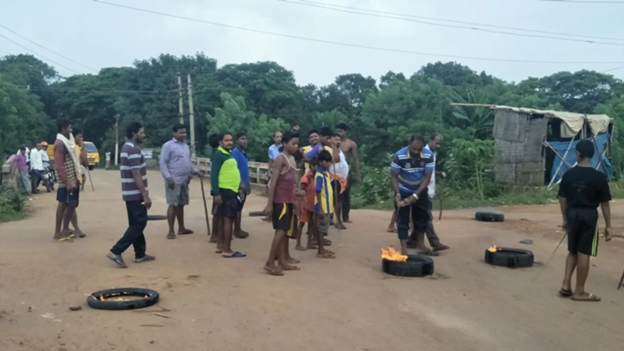  ମାଙ୍କଡ଼ କାମୁଡ଼ାରେ ୩୦ ଆହତ