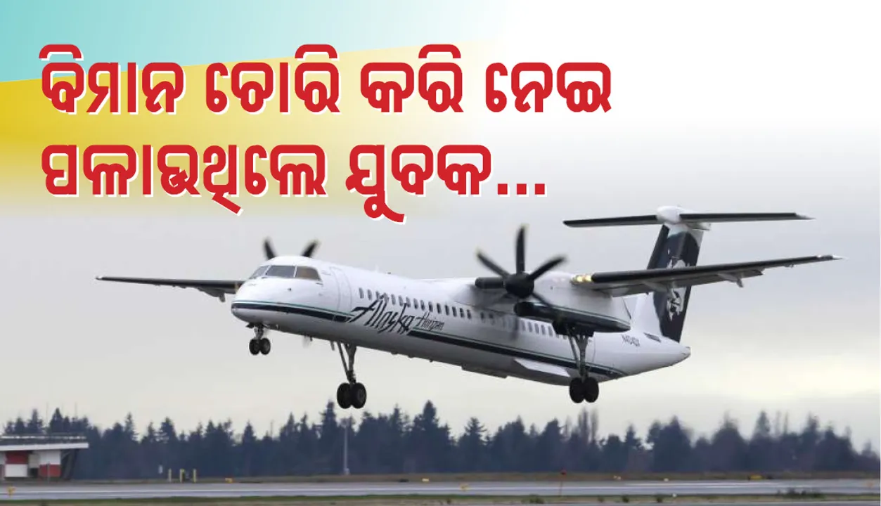  ବିମାନ ଚୋରି କରିନେଇ ପଳାଉ ଥିଲେ ଯୁବକ, ଦୁର୍ଘଟଣାରେ ଜଳିଗଲା