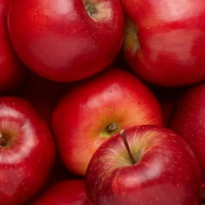  ସେଓରେ ବିଷ! : ଚକ୍‌ଚକ୍‌ ପାଇଁ ଦିଆଯାଉଛି ମିନେରାଲ ତେଲର ପ୍ରଲେପ