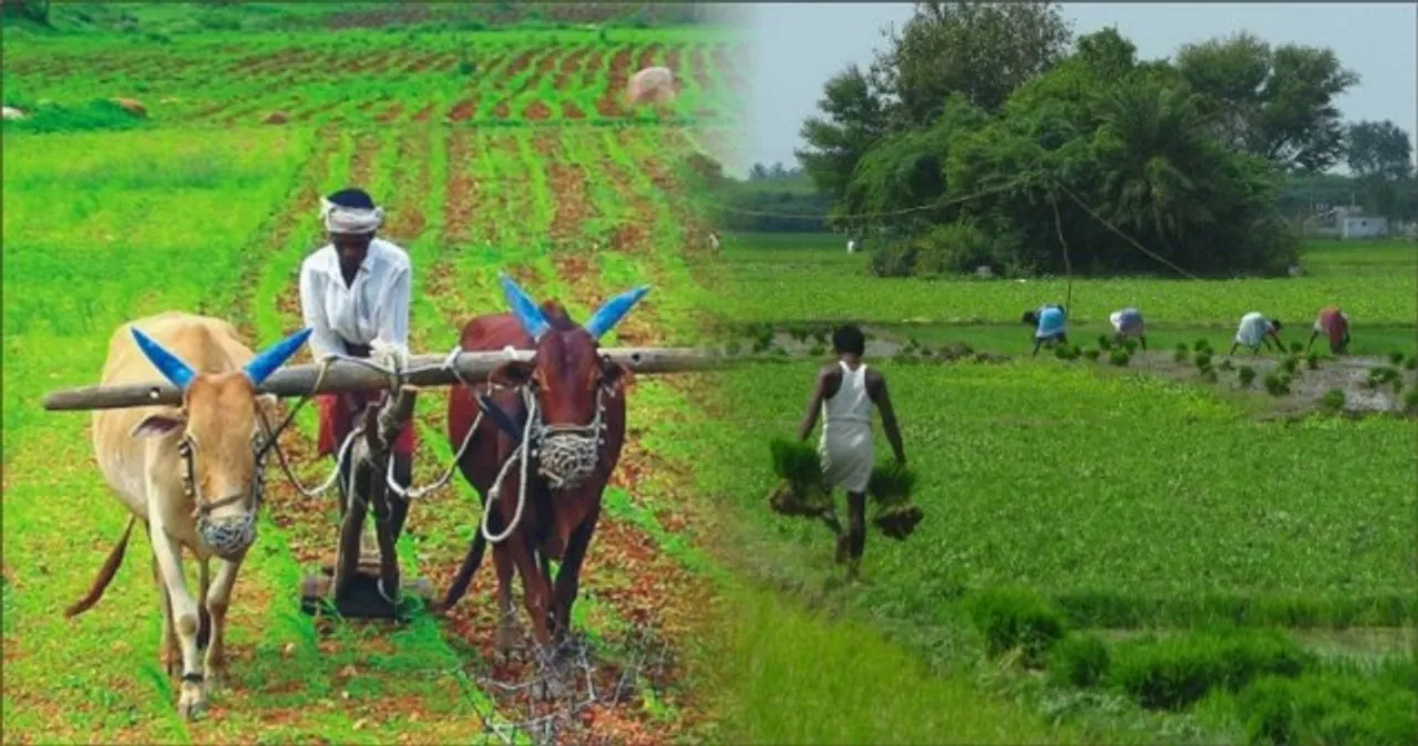  ଭାରତୀୟ କୃଷକଙ୍କ ସୁରକ୍ଷା ଚିନ୍ତା