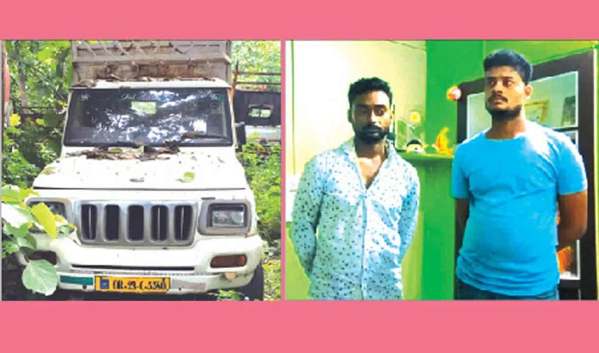  ପୁଲିସ କବ୍‌ଜାରେ ୨ ଗାଡ଼ି ଚୋର:ଚୋରା ଗାଡ଼ିରେ କାଠ ଚୋରି ବେଳେ ଧରାପଡ଼ିଲେ