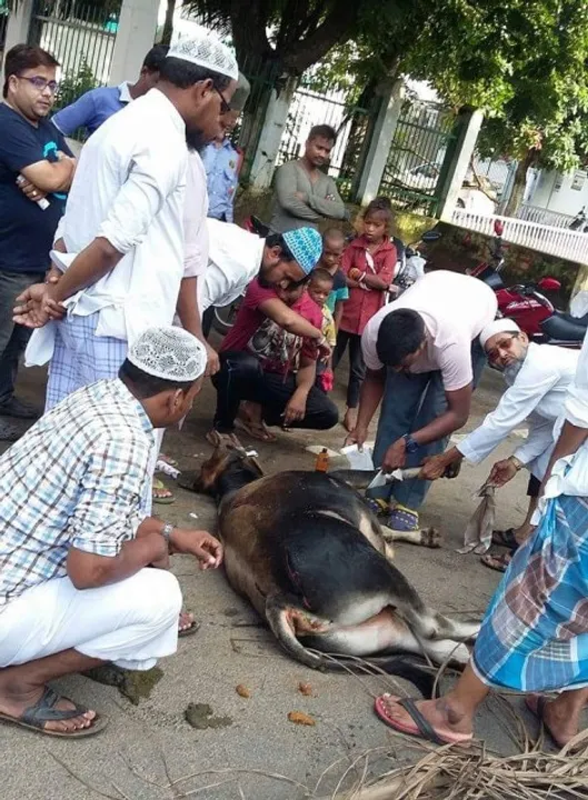  ସବୁଠୁ ଊର୍ଧ୍ୱରେ ମାନବିକତା