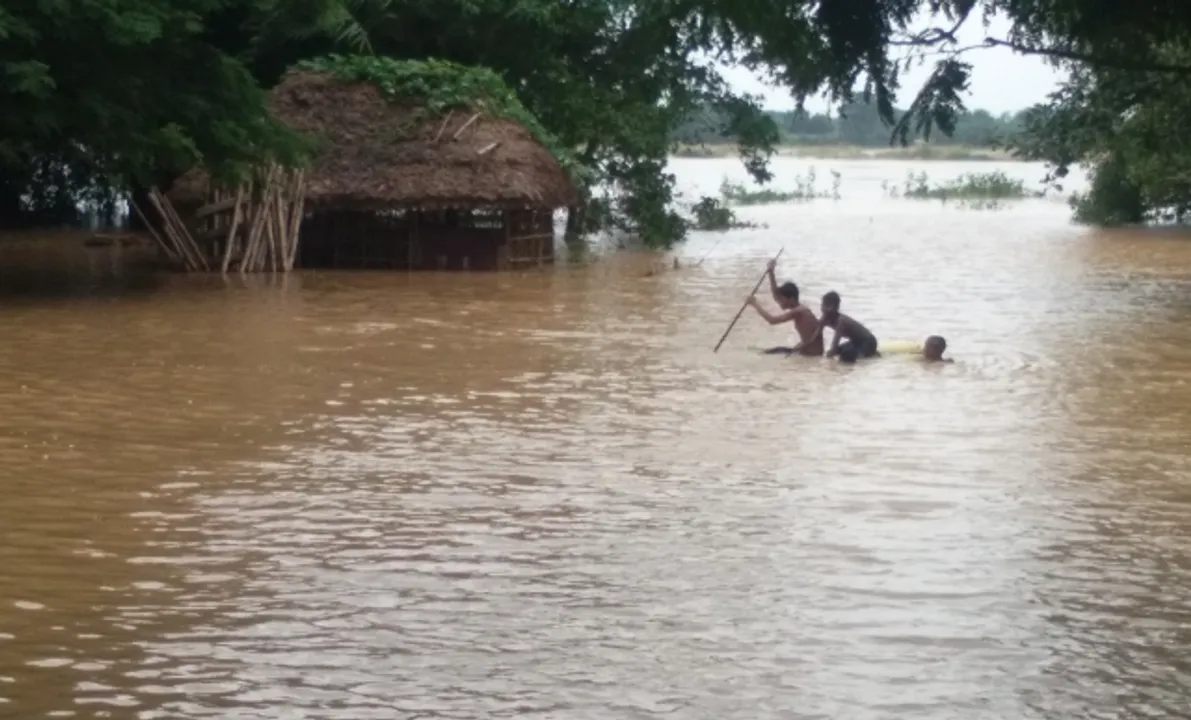  ଆଳି : ପ୍ରବଳ ବର୍ଷା ଯୋଗୁଁ ସୃଷ୍ଟି ହୋଇଥିବା ବନ୍ୟା ଜଳରେ ଶିଶୁଙ୍କ ଜଳକ୍ରୀଡା