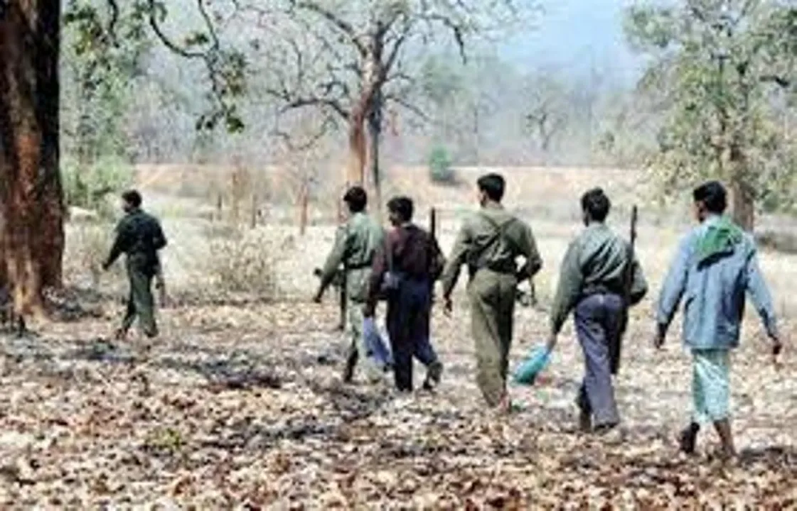  ସୁକମାରେ ଏଲଜିଏସ୍‌ କମାଣ୍ଡର ସମେତ ୧୫ ନକ୍ସଲ କଲେ ଆତ୍ମସମର୍ପଣ