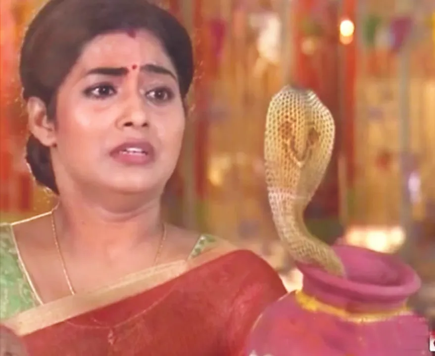  ଆଇନକୁ ବେଖାତିର: ଧାରାବାହିକରେ ପୁଣି ସାପ