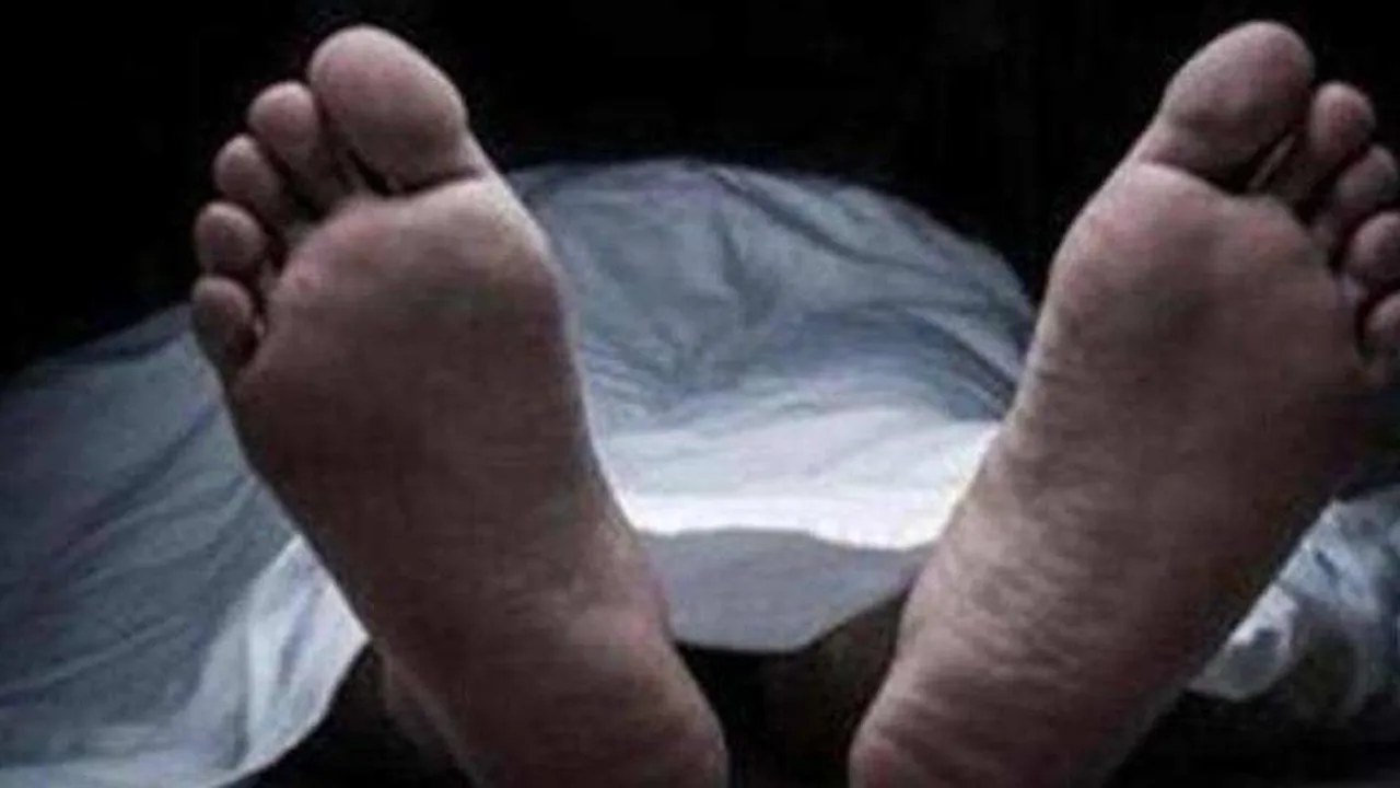  ଟ୍ରକ୍‌ ଧକ୍କାରେ ସ୍କୁଟି ଚାଳକ ମୃତ